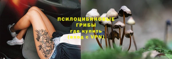 гидра Абаза