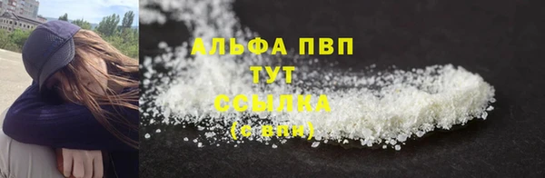 гидра Абаза