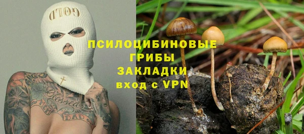 винт Алексин