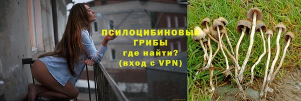 a pvp Абинск